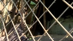 Украинские военные захватили российский "танк-черепаху"