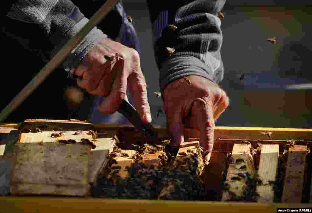 То, что он живет на зараженной территории, Василия не слишком беспокоит: свои ульи он проверяет без перчаток. О радиации он особенно не задумывается. "Мы делали замеры на участке, все чисто. Я проверяю то, что ем, и все в порядке"