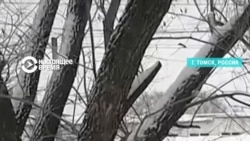 Жители Томска протестовали против блокировки Roblox