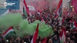 Протесты против властей в Сербии и в Венгрии: как это было