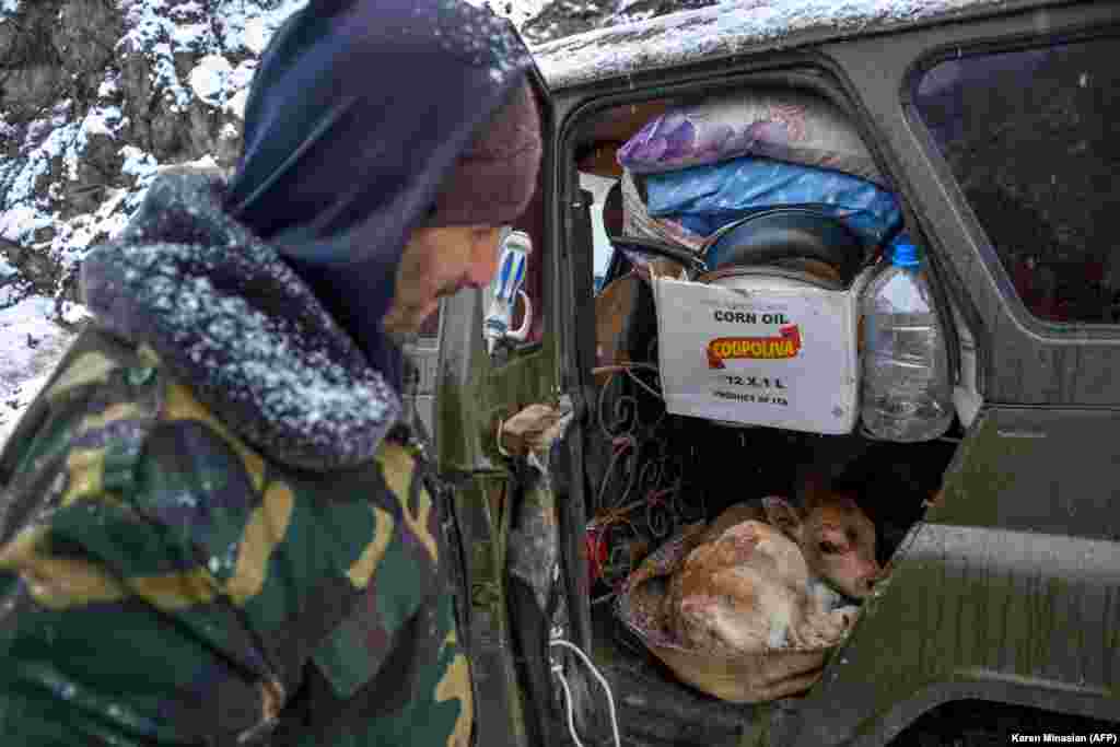 A man shows a newborn calf in his car on a road outside of the town of Lachin (Berdzor) on November 29, 2020, two days before the town's return to Azerbaijan. With his vehicle stuffed with household items, he appears to be one of the many ethnic Armenians leaving the area for Armenia.&nbsp;