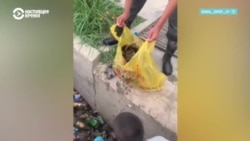 Таджикистанец из своего кармана платит землякам за уборку мусора: 30 сомони за каждый собранный мешок