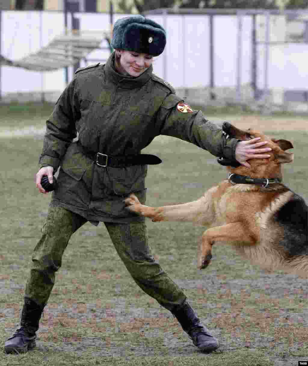 Евгения Швенцель &ndash; кинолог и инструктор общей дрессировки служебных собак при МВД России. С Евгенией на фото также запечатлена ее "подопечная", немецкая овчарка по кличке Жасмин