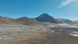 Азия 360°: памятник чабану Таштанбеку при жизни