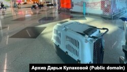 Первое фото Дарьи Кулаковой по прилете в Португалию