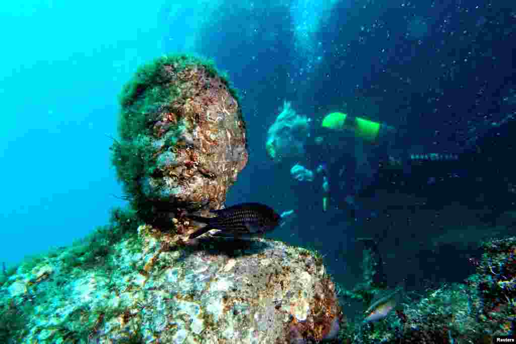 Андрей Некрасов, один из первых, кто фотографировал подводные монументы, рассказал, что "музей" для многих памятников стал убежищем от вандалов. После распада СССР статуи советских деятелей повально сносили и разрушали. Но те, кто покоятся на дне, относительно неплохо сохранились